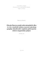 Obrada fluorescentnih mikroskopijskih slika in-vitro staničnih kultura neurona spiralnog ganglija stimuliranih vanjskim pulsirajućim elektromagnetskim poljem