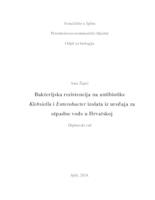 Bakterijska rezistencija na antibiotike Klebsiella i Enterobacter izolata iz uređaja za otpadne vode u Hrvatskoj