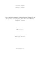 Effects of Electromagnetic Stimulation and Rapamycin on Morphology and Autophagy of In-vitro Cultured Spiral Ganglion Neurons