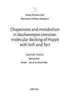 Chaperones and metabolism in Saccharomyces cerevisiae: molecular docking of Hsp90 with Snf1 and Tor1