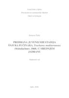 Prehrana juvenilnih stadija šnjura pučinara, Trachurus mediterraneus (Steindachner, 1868.) u srednjem Jadranu