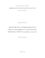 PROTUVIRUSNO I ANTIPROLIFERATIVNO DJELOVANJE HIDROLATA I METANOLNOG EKSTRAKTA VRSTE Chaeropyllum coloratum L.