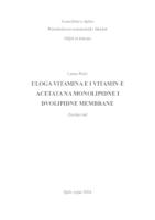 prikaz prve stranice dokumenta Uloga vitamina E i vitamina E acetata na monolipidne i dvolipidne membrane