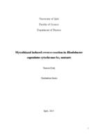 prikaz prve stranice dokumenta Myxothiazol induced reverse reaction in Rhodobacter capsulatus cytochrome bc1 mutants