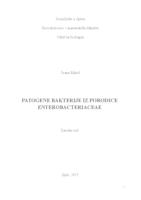 prikaz prve stranice dokumenta Patogene bakterije iz porodice Enterobacteriaceae