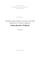 prikaz prve stranice dokumenta Maseni udio lipida i sastav masnih kiselina u filetu srdele Sardina pilchardus (Walbaum)