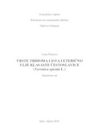 prikaz prve stranice dokumenta Vrste trihoma lista i eterično ulje klasaste čestoslavice (Veronica spicata L.)